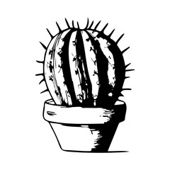 Cactus. Vector stock illustration eps10.