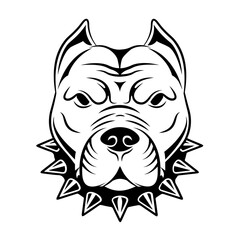 Chien