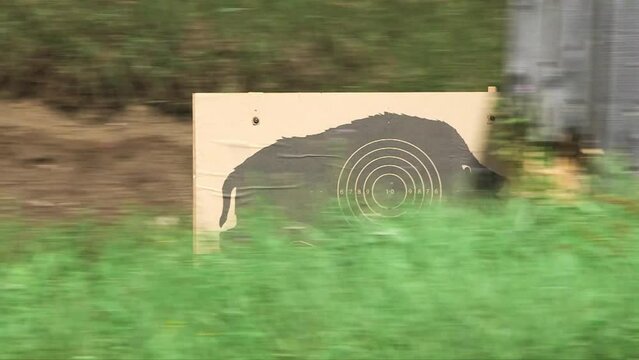 panning medium shot of a moving boar target moving across the shooting range