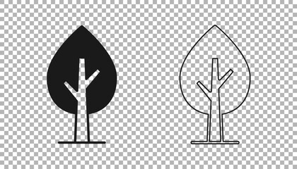 Black Tree icon isolated on transparent background. Forest symbol. Vector