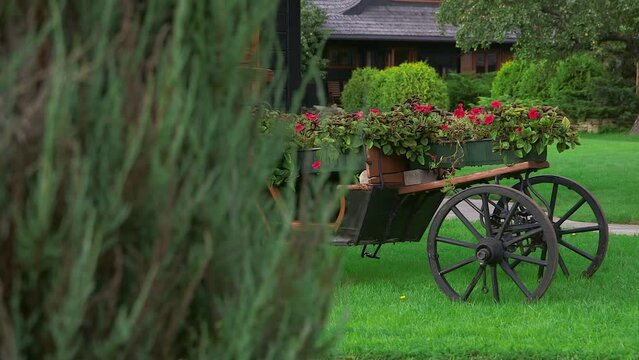 dolly wide shot of a carriage as a flower bed in a very beautifully decorated and maintained garden