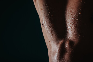 Torso shot of young, fit man. Close up photo