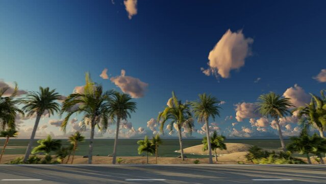 View from the side window of the car, driving along the palm beach at sunset