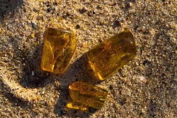 Natural, polished Baltic amber on a sandy beach in Kołobrzeg, Poland.