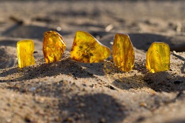 Natural, polished Baltic amber on a sandy beach in Kołobrzeg, Poland. - obrazy, fototapety, plakaty