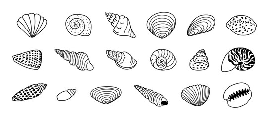 Black Doodle Outline Sea Shell Set - obrazy, fototapety, plakaty