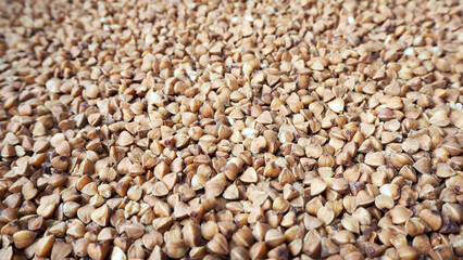lots of brown fried buckwheat . view. side. groats. diet food. gluten free. vegan