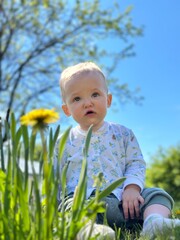 little child in the grass