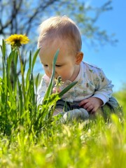 child with dandelions