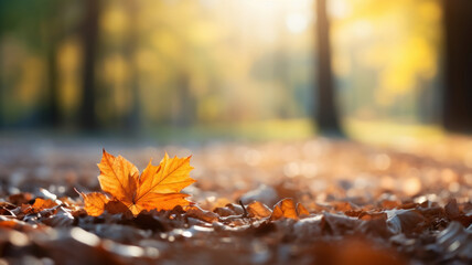 Beautiful yellow and brown leaves in an autumn park. Autumn leaves covering the ground in the autumn forest. Golden autumn forest in sunlight. Defocused view, blurred background.