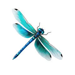 Blue dragonfly isolated on transparent background - obrazy, fototapety, plakaty