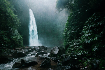 Secret Bali jungle waterfall near Ubud, Indonesia - 639695349