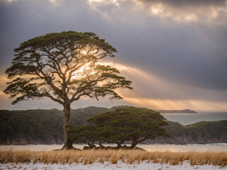 a solitary tree stands tall on a snow-covered field