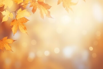 Naklejka na ściany i meble Beautiful blurred gentle universal natural light autumn