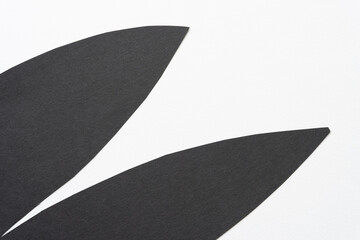 minimalist black paper pieces (rounded triangle forms) on white