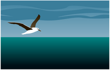 Petrel. Harbinger of the storm. An albatross hovers above the dark surface of the sea. Vector image for prints, poster and illustrations.