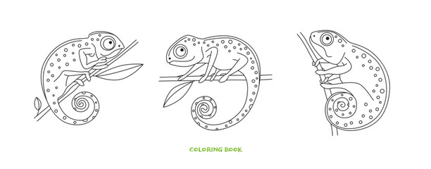 Coloring book for children vector illustration. Set of fabulous chameleons on branches in cartoon style. It can be used to decorate children`s books. Antistress picture on white isolated background.