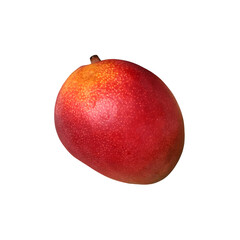 Fresh whole tasty mango tropical fruit, healthy vitamin organic diet, top view close up, clipping path, selective focus