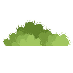 Obraz premium Green Bushes