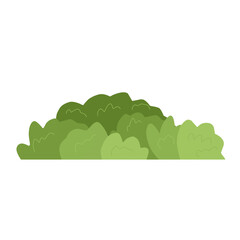 Fototapeta premium Green Bushes