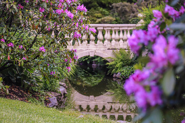 Bridge in Garden over Pond