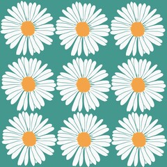 Common daisy flower cute drawing 