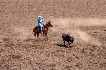 A cowboy at a rodeo is competing in a team roping contest is roping the back legs. The other cowboy...