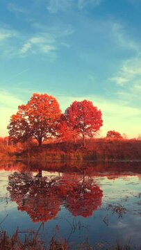 Time lapse of an autumn landscape, forest and sky reflected in water, nature.