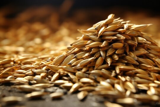 Grains of wheat harvest. Grain deal concept. Hunger and food security of the world.