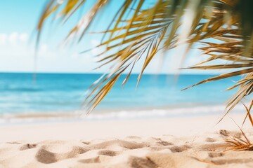 Fototapeta na wymiar Beautiful wide paradise beach with golden sand and palm