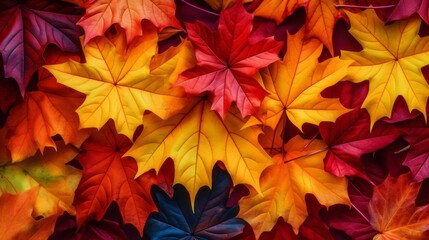 Fototapeta na wymiar Illustration of vibrant autumn leaves scattered on the forest floor