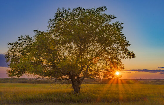 Peaceful Evening
