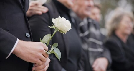 Hands, rose and a person at a funeral in a cemetery in grief while mourning loss at a memorial service. Death, flower and an adult in a suit at a graveyard in a crowd for an outdoor burial closeup