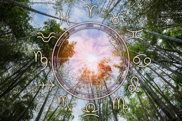 Zodiac wheel and beautiful view on bamboo forest under cloudy sky