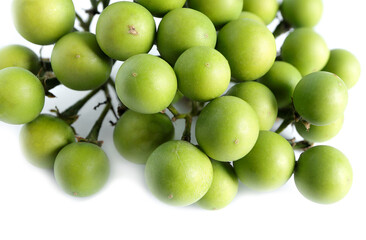 Close-up of Solanum Torvum green vegetable or turkey berry, pea eggplant on white background.