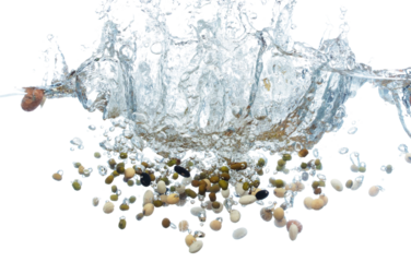 Beans multi grain falls into water and creates air bubbles on surface. Red black yellow beans drop hit smash to boil water and deep to bubble. White background isolated freeze motion