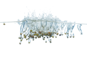 Green Beans falls into water and creates air bubbles on surface. Green beans drop hit smash to boil water and deep to bubble. White background isolated freeze motion