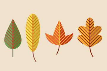 Autumn leaves collection, leaves isolated collection. Vector illustration.