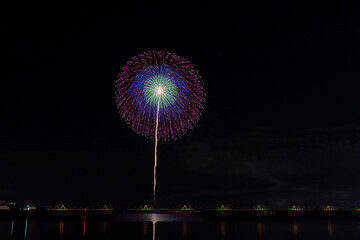 夏の夜空に咲く大輪の花火