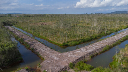 Fototapeta na wymiar Aerial view of a ditch made to drain water surrounding an area of dry looking mangrove forest