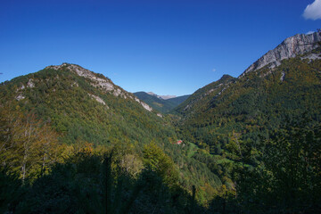 Obraz premium Mountain landscape in Pyrenees Mountains with forest during autumn near Isaba, Navarre, Spain