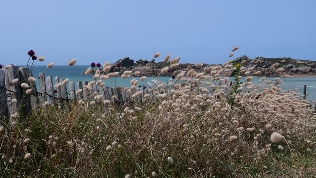 Clip vid&eacute;o de paysage de mer &agrave; Tr&eacute;gastel en Bretagne - France