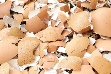Group of broken egg shells in plastic flower pot. Recycling kitchen waste, Crushed egg shells for the compost and garden.