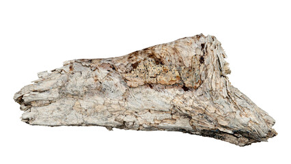 Cut down the wood of the remains of the old wood. Isolated white background with clipping path.