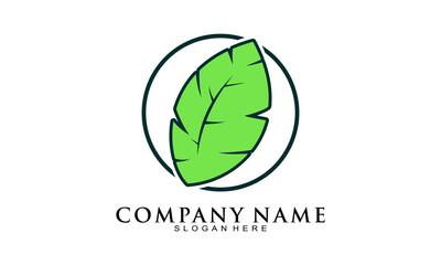 Nature leaf illustration vector logo