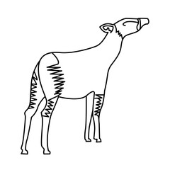 okapi of wild animal line icon set