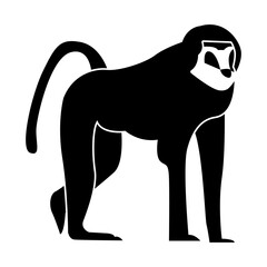 baboon of wild animal solid icon set