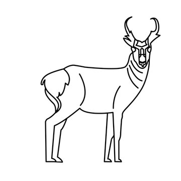 recommend clip art: pronghorn of wild animal outline icon set