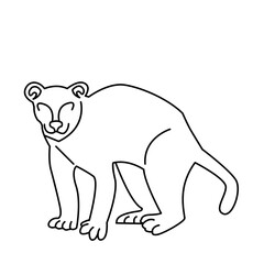 fossa of wild animal outline icon set