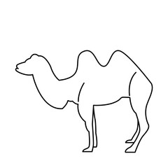 camel of wild animal outline icon set